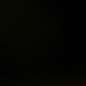 Meet your Posher, Troy